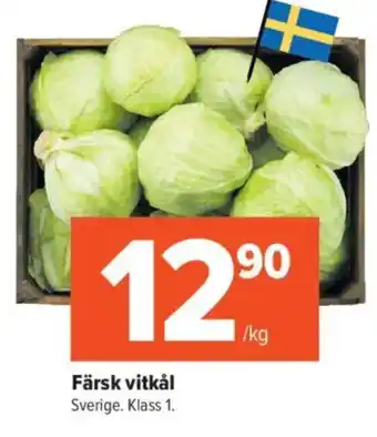 Färsk vitkål