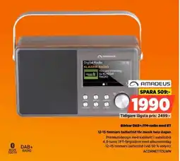 Power Amadeus Bärbar DAB+/FM-radio med BT 12-15 timmars batteritid för musik hela dagen erbjuda