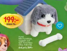 Leklust Hund erbjuda