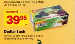 City Gross Dadlar i ask erbjuda