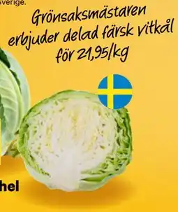 City Gross delad färsk vitkål erbjuda