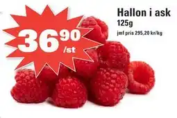 Nära dej Hallon i ask erbjuda