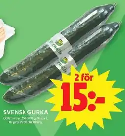 ICA Maxi Svensk gurka erbjuda