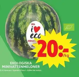 ICA Maxi ICA Ekologiska minivattenmeloner erbjuda