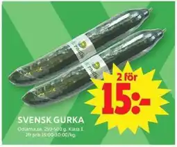 ICA Maxi Svensk gurka erbjuda