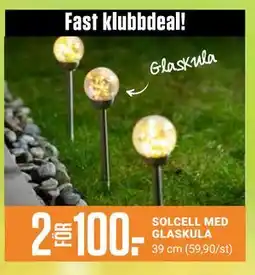 ÖoB SOLCELL MED GLASKULA, Medlemspris erbjuda