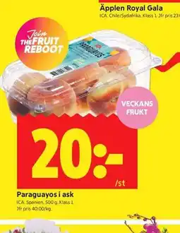 ICA Kvantum Paraguayos i ask erbjuda
