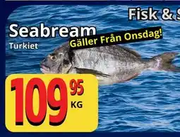 Supergrossen Seabream erbjuda