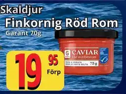 Supergrossen Finkornig Röd Rom erbjuda