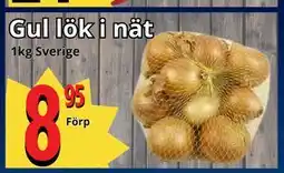 Supergrossen Gul lök i nät erbjuda