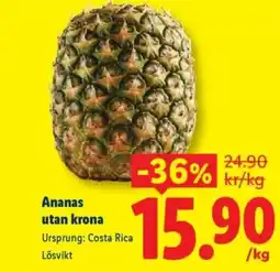 Lidl Ananas utan krona erbjuda