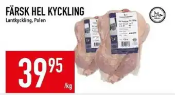 Matdax Färsk hel kyckling erbjuda