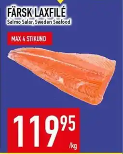 Matdax Färsk laxfilé erbjuda