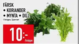 Matdax Färsk Koriander • mynta • dill erbjuda