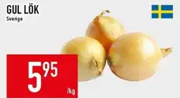 Matdax Gul lök erbjuda