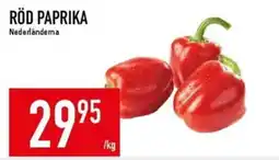 Matdax Röd paprika erbjuda