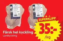 Nya Pulsen Lantkyckling Färsk hel kyckling erbjuda