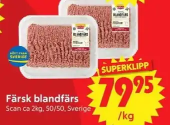 Scan Färsk blandfärs