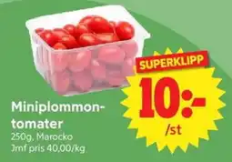 Nya Pulsen Miniplommon- tomater erbjuda