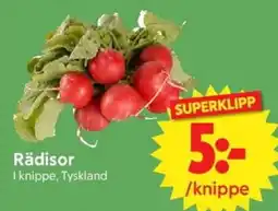 Nya Pulsen Rädisor erbjuda