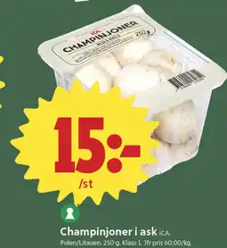 ICA Nära Ica Champinjoner i ask erbjuda