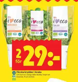 ICA Supermarket Färska kryddor i kruka erbjuda