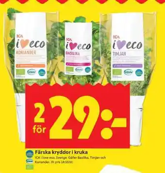 ICA Supermarket Färska kryddor i kruka erbjuda