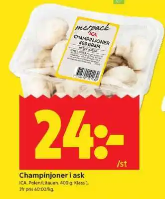 ICA Supermarket CHAMPINJONER I ASK erbjuda