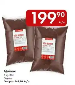 Snabbgross Gastrino Quinoa erbjuda