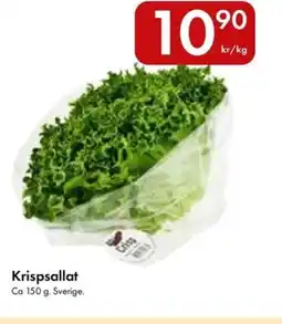 Snabbgross Krispsallat erbjuda
