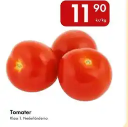 Snabbgross Tomater erbjuda