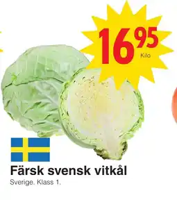 Matöppet Färsk svensk vitkål erbjuda