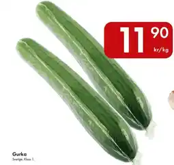 Snabbgross Gurka erbjuda