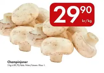 Snabbgross Champinjoner erbjuda