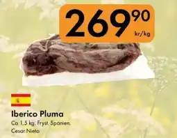 Snabbgross Iberico Pluma erbjuda