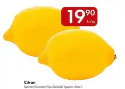 Snabbgross Citron erbjuda