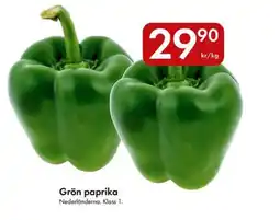 Snabbgross Grön paprika erbjuda