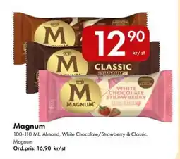 Snabbgross Magnum erbjuda
