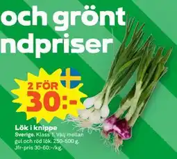 Stora Coop Lök i knippe erbjuda