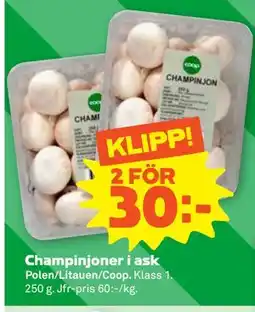 Stora Coop Champinjoner i ask erbjuda