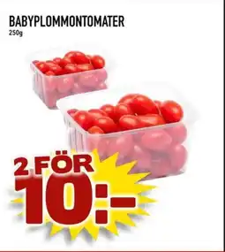 Rinkeby Matcenter Babyplommontomater erbjuda