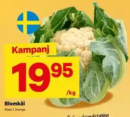 City Gross Blomkål erbjuda