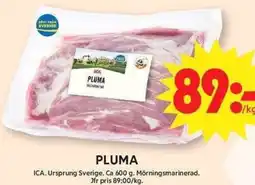 ICA Maxi Pluma erbjuda