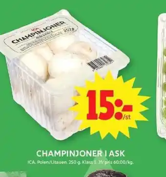 ICA Maxi Champinjoner i ask erbjuda