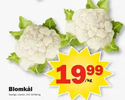 Pekås Blomkål erbjuda