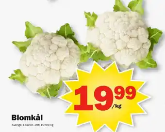 Pekås Blomkål erbjuda