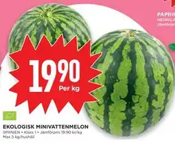 Willys EKOLOGISK MINIVATTENMELON erbjuda