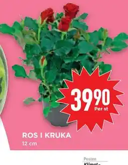Willys Hemma ROS I KRUKA erbjuda