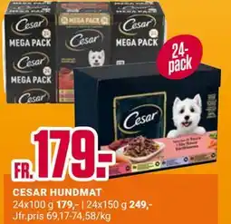ÖoB CESAR HUNDMAT erbjuda