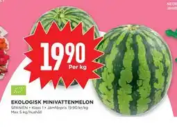 Willys Hemma EKOLOGISK MINIVATTENMELON erbjuda